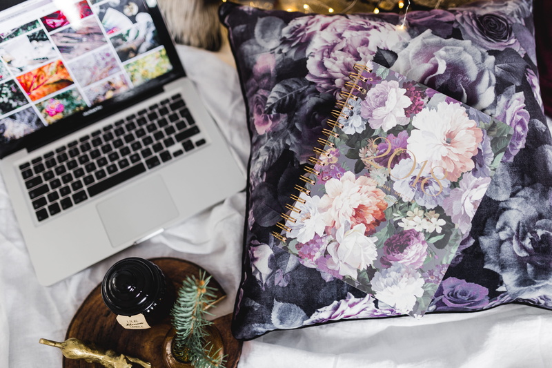 plant, table, container, day, flower, floral, flower arrangement, bouquet, communication, no people, clothing, violet, connection, high angle view, creativity