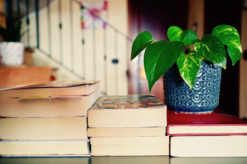relaxation, green, electric lamp, table, culture, no people, teacher, 5K, books, leisure, publication, wood - material, library, indoors, leaf, container