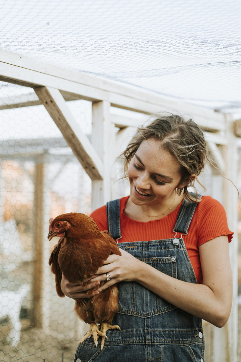 front view, one animal, overalls, chicken, wildlife, standing, countryside, 4K, farmland, dungarees, one person, outdoors, women, young adult, young, hairstyle