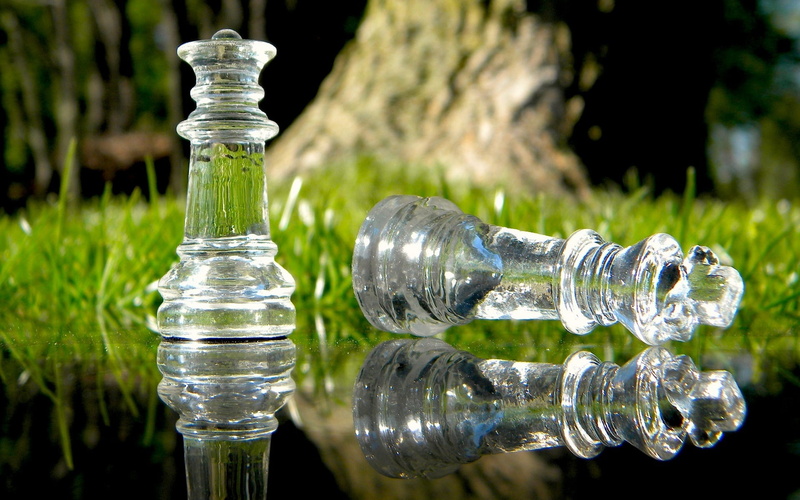 Ani7an, Scam, checkmate, the course, reflection, Queen, chess, water, 1080P, grass, glass, strategy, king, nature, Deception, cheating, macro, the game