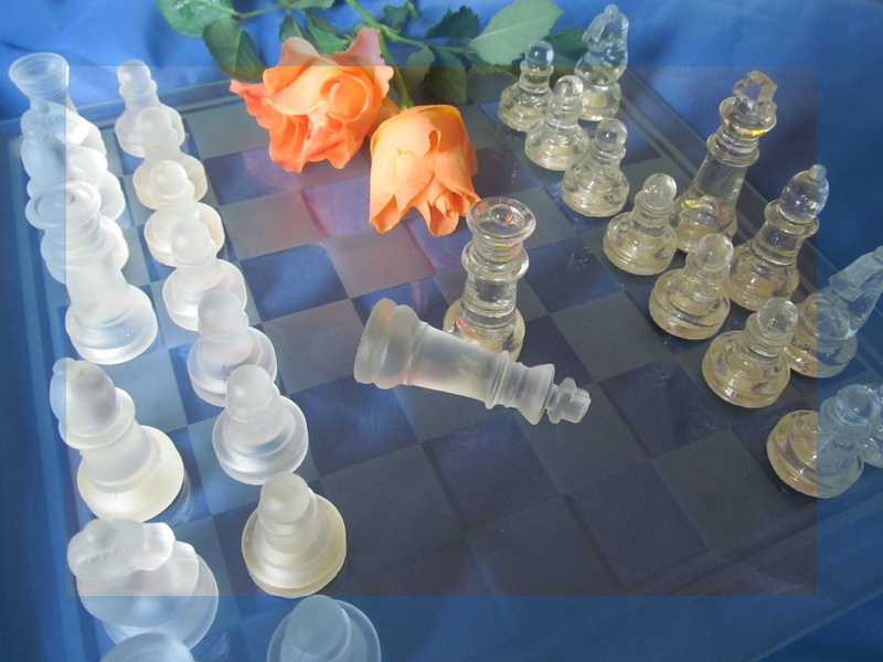 lady, glass, high angle view, king, glass - material, large group of objects, checkmated, nature, no people, runners, roses, flowers, flowering plant, close-up
