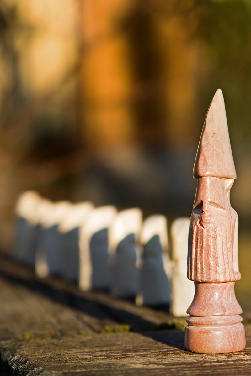 close-up, challenge, representation, queen, sport, leisure games, white, outdoors, board, day, leisure activity, natural, in a row, nature, metal, chessboard