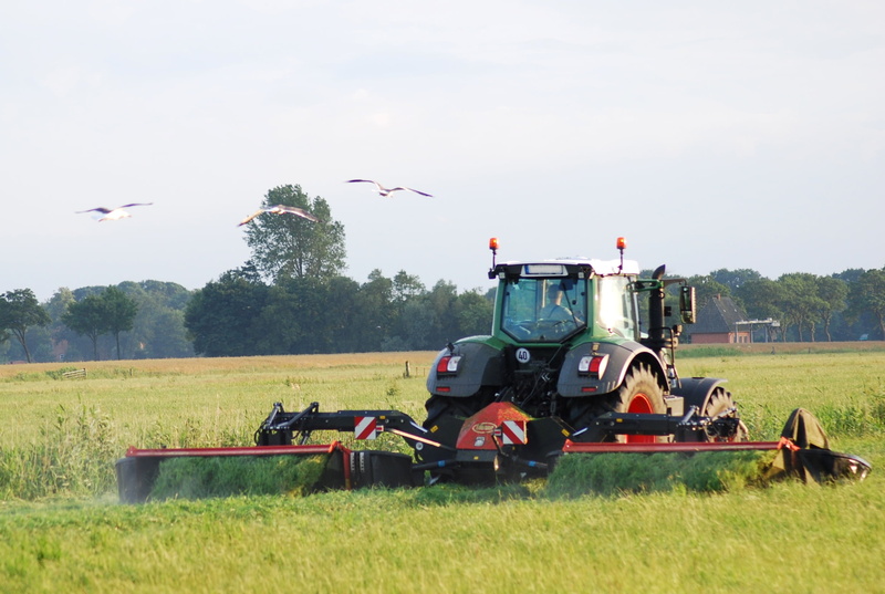 flying, tractors, northern germany, grass crop, agricultural, gulls, work, group of animals, green, landtechnik, fendt, mower, animal wildlife, device