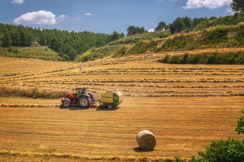 growth, tractor, harvest time, hay, agricultural machinery, outdoors, plant, fieldwork, farm, summer, scenics - nature, rural scene, field, straw, nature