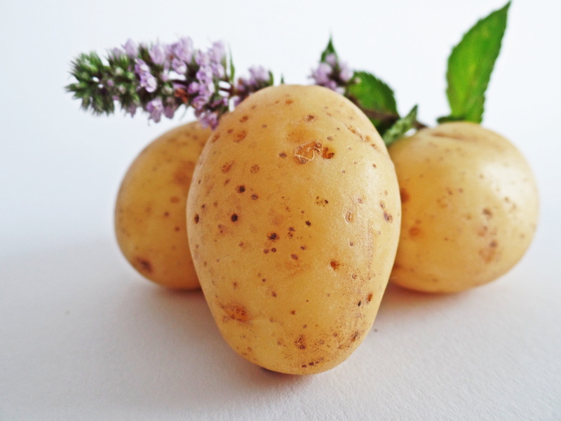food, root vegetable, eat, still life, food and drink, potatoes, raw food, flower, focus on foreground, brown, raw potato, wellbeing, no people, freshness