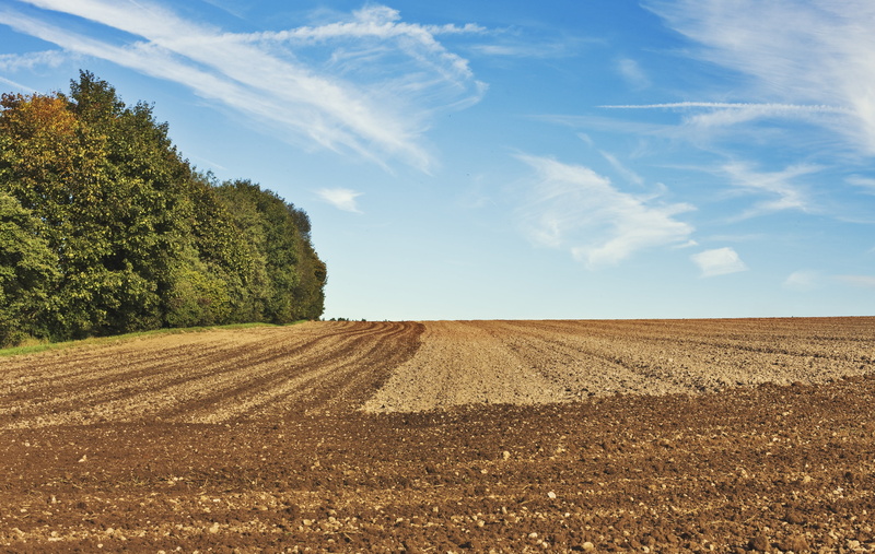 grub bern, outdoors, crop production, tranquil scene, agricultural, agro photo, nature, agricultural machine, packer, tug, farmer, tillage, tranquility