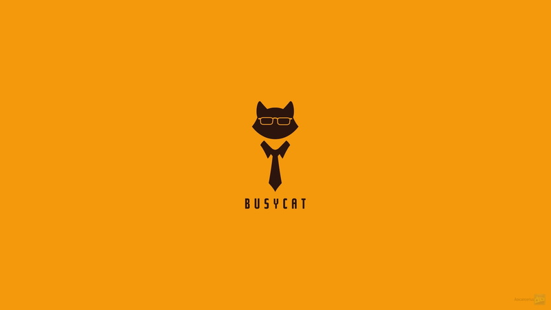 digital composite, communication, busycat, poster, sign, digital, Business Cat, domestic animals, western script, orange color, representation, one animal