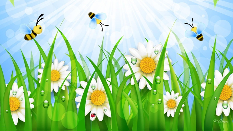 sunray, bee, bees, cute, flowers, wild, sun beams, bokeh, bright, daisies, blooms, 1080P, whimsical, grass, busy