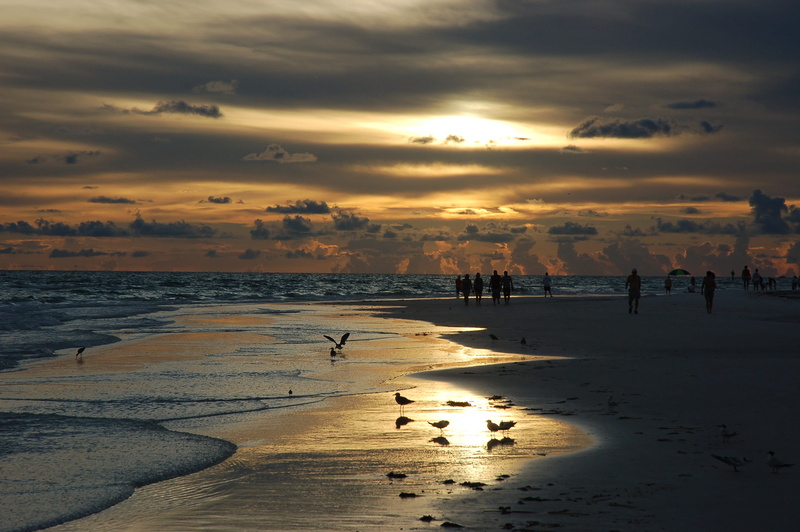 horizon over water, large group of people, sea, water, scenics - nature, low tide, sky, silhouette, sunlight, 2K, beauty in nature, nature, standing, tranquility