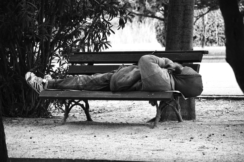 relaxation, plant, nature, trunk, absence, chair, park - man made space, tree trunk, siesta, bench, park, outdoors, warm clothing, sitting, day, social issues