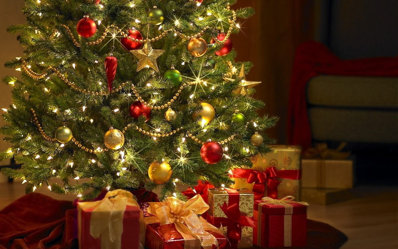 Christmas ornaments, no people, christmas ornament, plant, indoors, box, gift, 720P, holiday, box - container, christmas lights, tree, Christmas, gift box