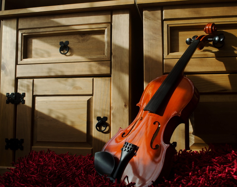 double bass, string, home interior, musical instrument, play, domestic room, indoors, acoustic, sound, musician, symphony, brown, arts culture and entertainment