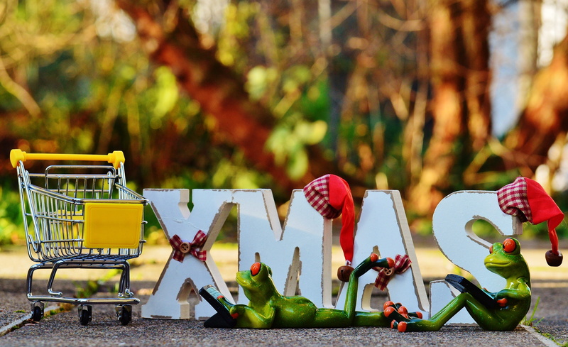 shopping list, Online Shopping, 4K, funny, christmas shopping, focus on foreground, representation, shopping basket, retail, food and drink, outdoors