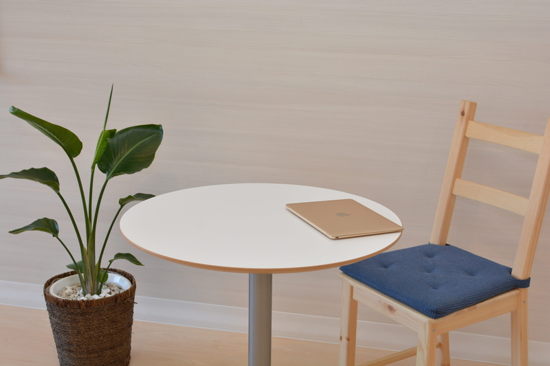 sofa, mac, architecture, absence, table, houseplant, flora, wood - material, retro, plant part, leaf, growth, macbook, vase, wall - building feature, relaxation