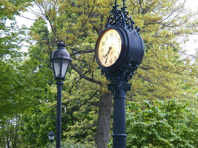 mount desert island, street light, trees, electric lamp, growth, tree, technology, black, old-fashioned, green color, maine, day, clocks, Time, street