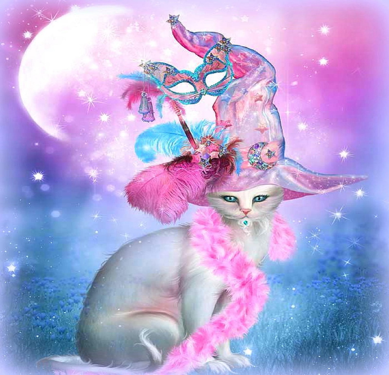 lovely, softness-beauty, witch, halloween, fancy, hat, witch-hat, sweet, 1080P, digital-art, creative-pre--made, animals, beautiful, cat