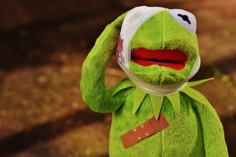 green color, one person, cloth figure, clothing, unrecognizable person, teddy bear, frog, outdoors, animal, figure, headshot, children toys, blood, leaf