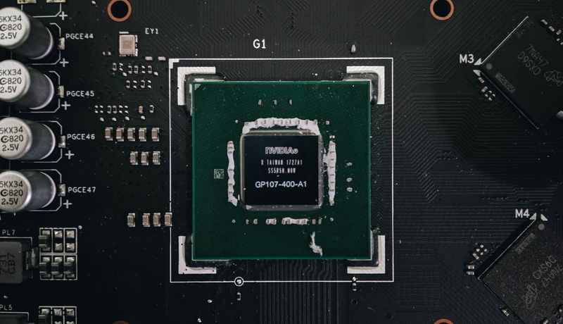text, raspberry, hardware, mother board, mouse, equipment, indoors, communication, ram memory, connection block, server, computer part, plant, circuit board