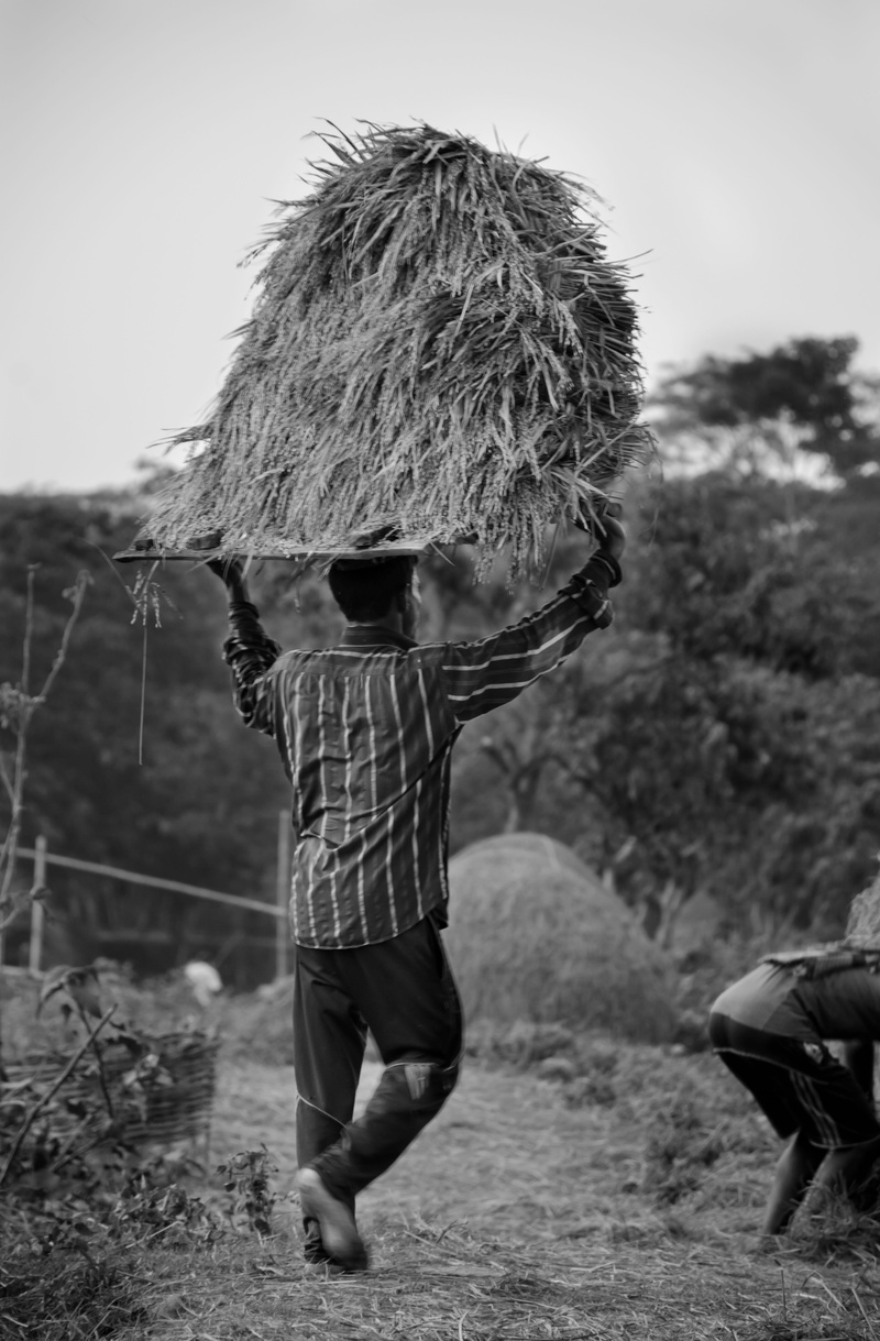 boys, sky, one person, childhood, field, working, focus on foreground, casual clothing, real people, day, people, 4K, lifestyles, plant, outdoors, men