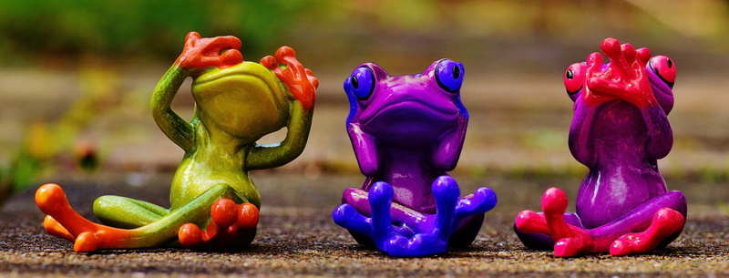 pepper, three, choice, frogs, vegetable, group of objects, food and drink, outdoors, variation, day, not hear, creativity, assorted, funny, figures, figurines