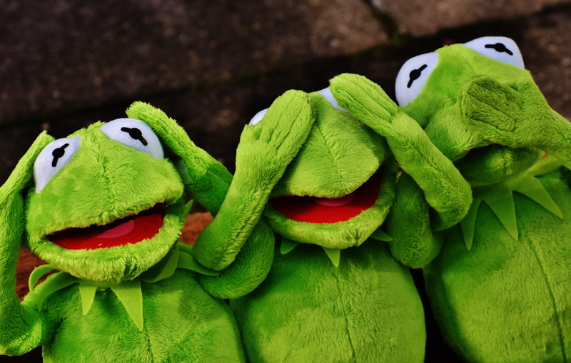 animal head, red, studio shot, green color, indoors, animal representation, green, close-up, soft toy, stuffed toy, art and craft, kermit, one animal, reptile