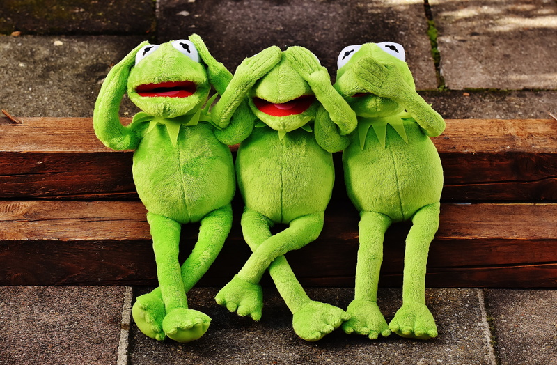 no people, funny, freshness, plush, fun, 5K, wall - building feature, indoors, green, art and craft, do not speak, table, not see, still life, frogs, sit
