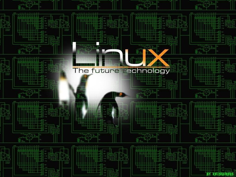 computer language, safety, complexity, security, text, green color, connection, Technology, indoors, data, studio shot, computer hacker, threats, number
