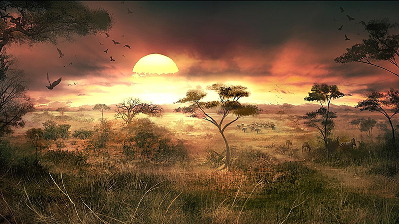 amazing, beauty, lovely, awesome, fascinating, warm, sunset, african, 1080P, 3d and abstract, cool