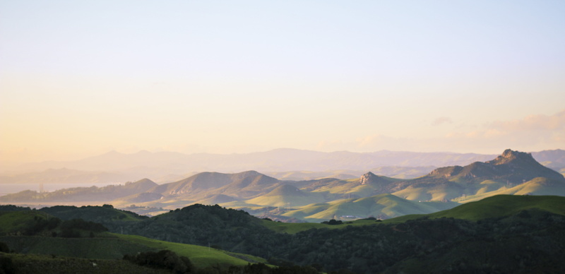 tranquility, slo, environment, idyllic, plant, fog, nature, tranquil scene, mountain range, land, friends, united states, beauty in nature, morro bay, san luis obispo