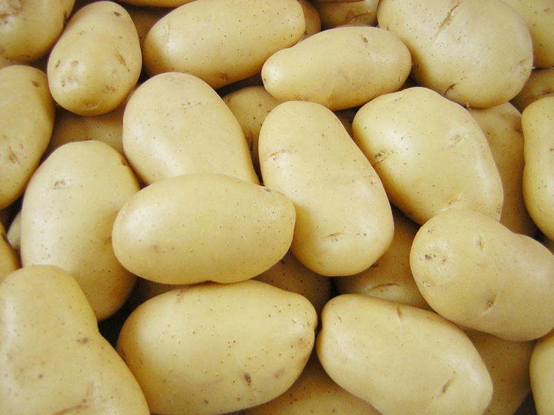 no People, food, snack, wellbeing, freshness, market, food And Drink, backgrounds, yellow, still life, nature, indoors, potato, raw Potato, agriculture