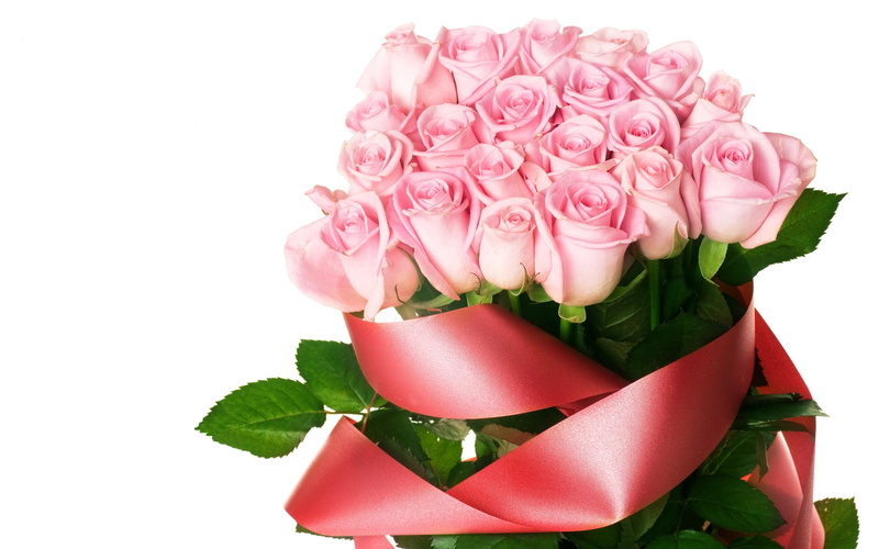 nature and landscapes, roses, bundle, pink, bundles, 2K, fresh, love