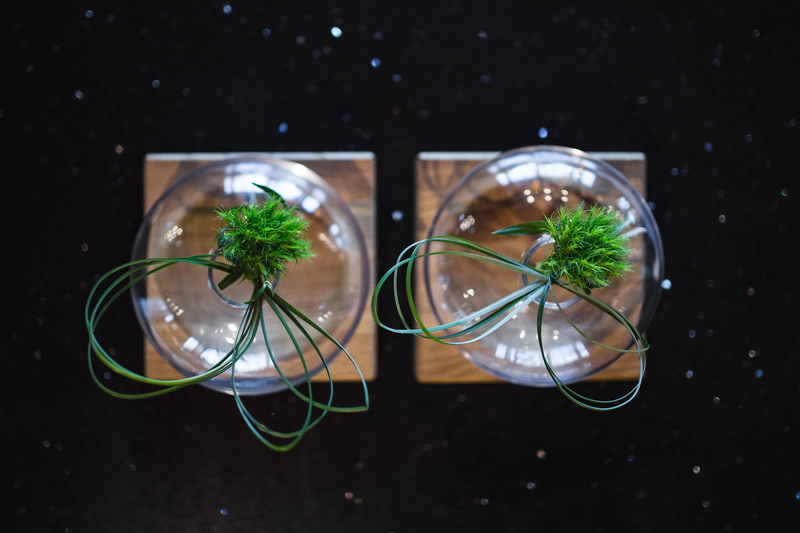 herb, transparent, freshness, grass, still life, close-up, jar, leaf, trinket, no people, plant, glass - material, growth, water, black background, ornamental