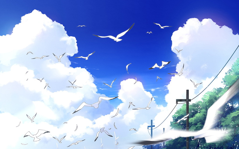 flying, animals in the wild, low angle view, cloud - sky, bird, mid-air, no people, 1080P, outdoors, group of animals, vertebrate, white color, day, beauty in nature