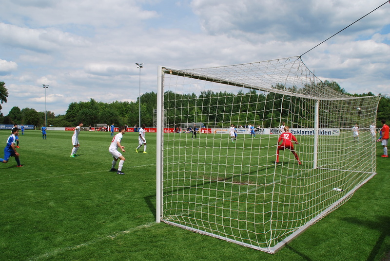 competition, soccer player, people, men, sports equipment, team sport, kicker, playing, plant, player, group of people, sports ground, goalkeeper, goal