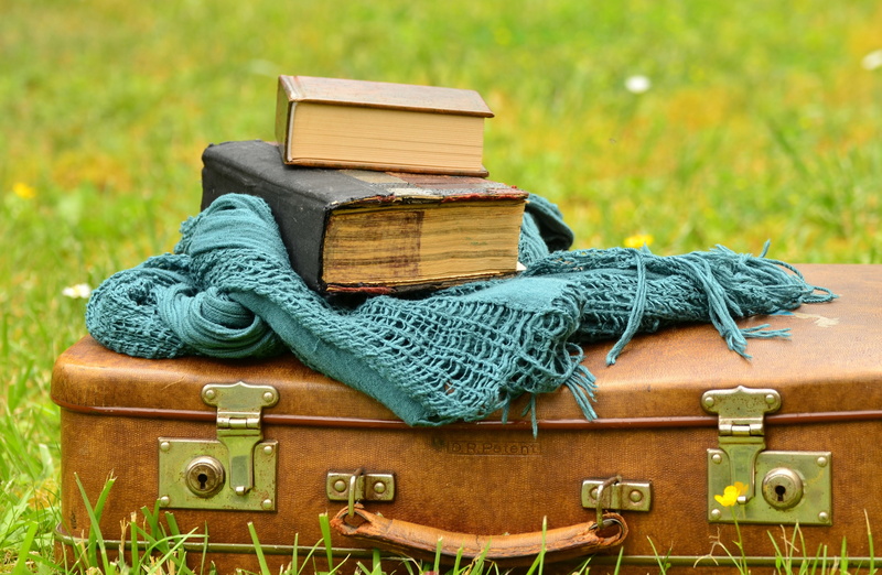 old books, scarf, rope, stack, old-fashioned, teal, still life, read, leather suitcase, old, green color, plant, publication, day, book, old book, antique