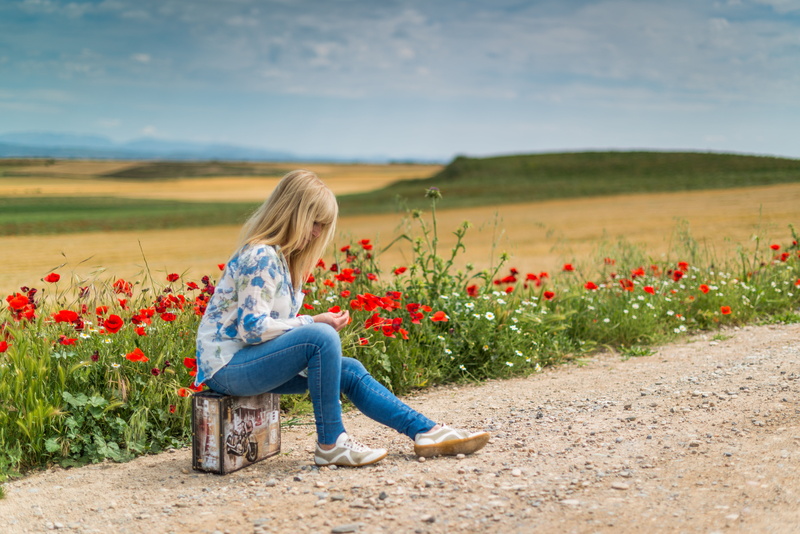 5K, flower, red, flowering plant, landscape, sleeved, cornfield, shirt, fitted, thoughtful, girls, calm, one person, hairstyle, hair, grain, beside, distance