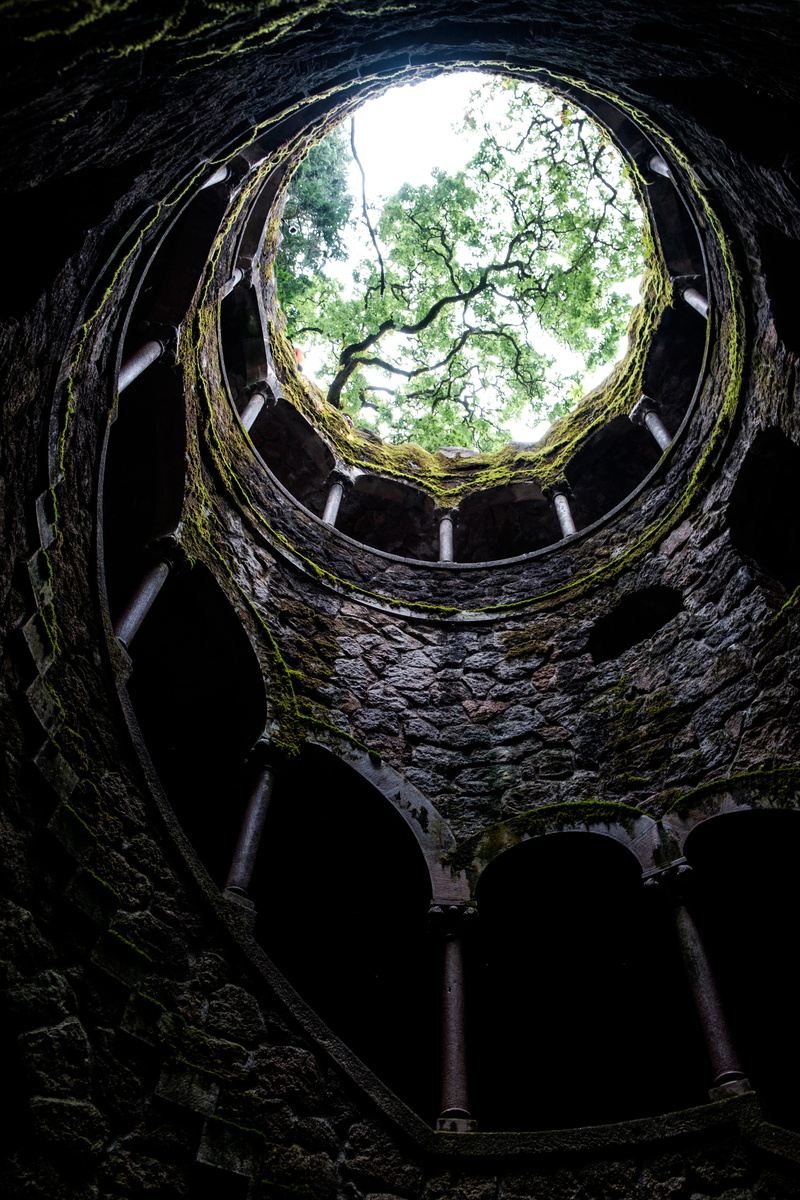 building, built structure, plant, lisboa, architecture, the palace of monteiro the millionaire, sintra, circle, lisbon, the past, place of worship, nature