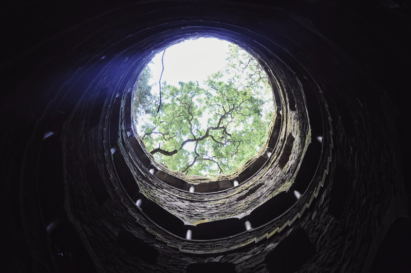 tree, 2K, nature, ancient, history, the past, quinta da regaleira, directly below, shape, sintra, no people, architecture, sunlight, day, window