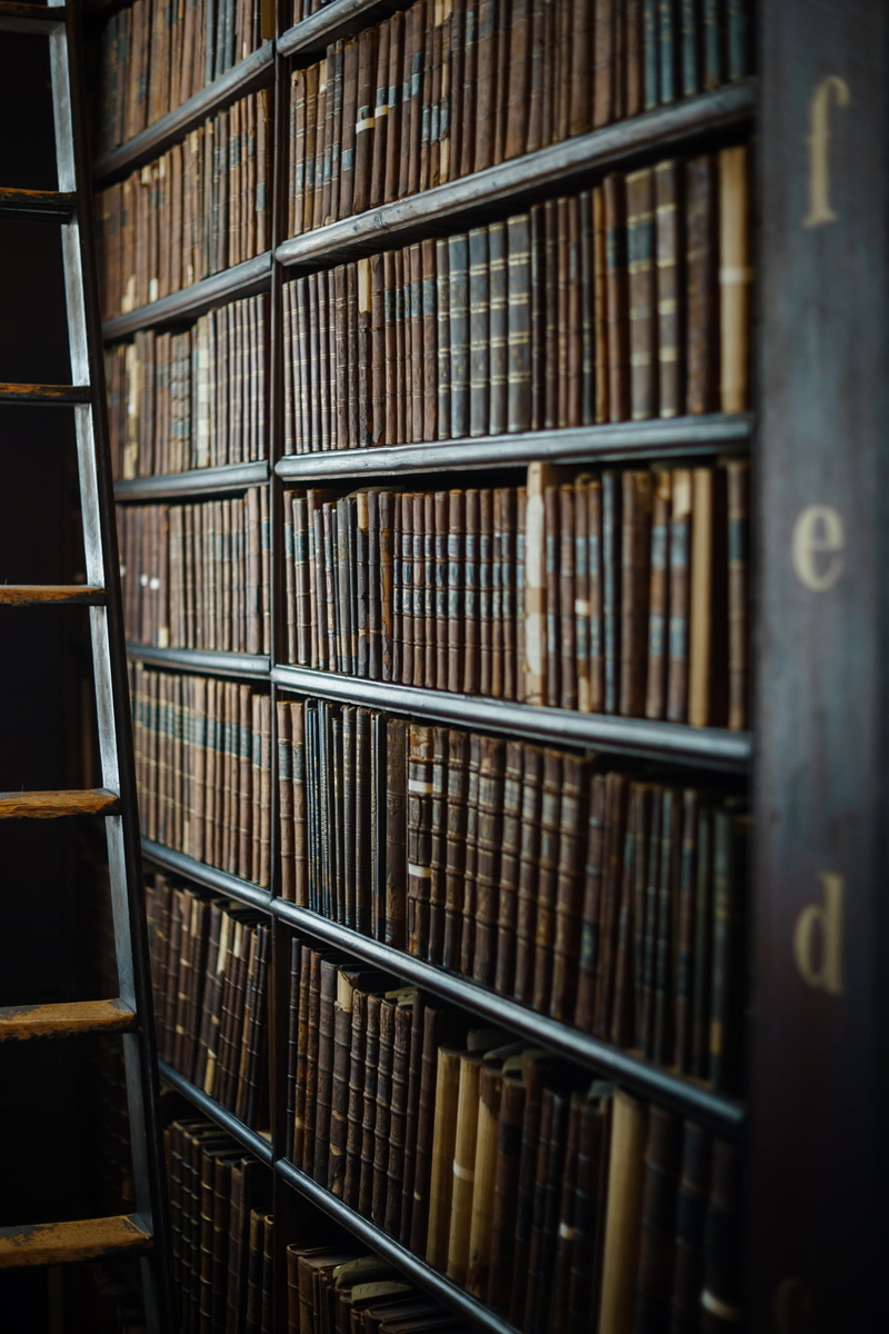 books, day, literature, ladder, bookshelf, shelves, encyclopedia, choice, old-fashioned, still life, indoors, wood - material, book, close-up, shelf, library