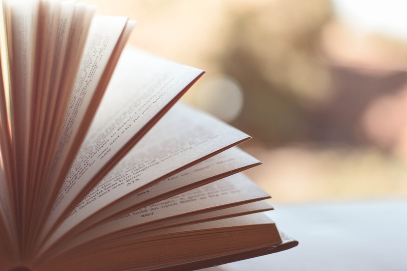 activity, book, pages, 5K, selective focus, focus on foreground, no people, open, blur, page, book pages, close-up, paper, learning, literature, hardcover book