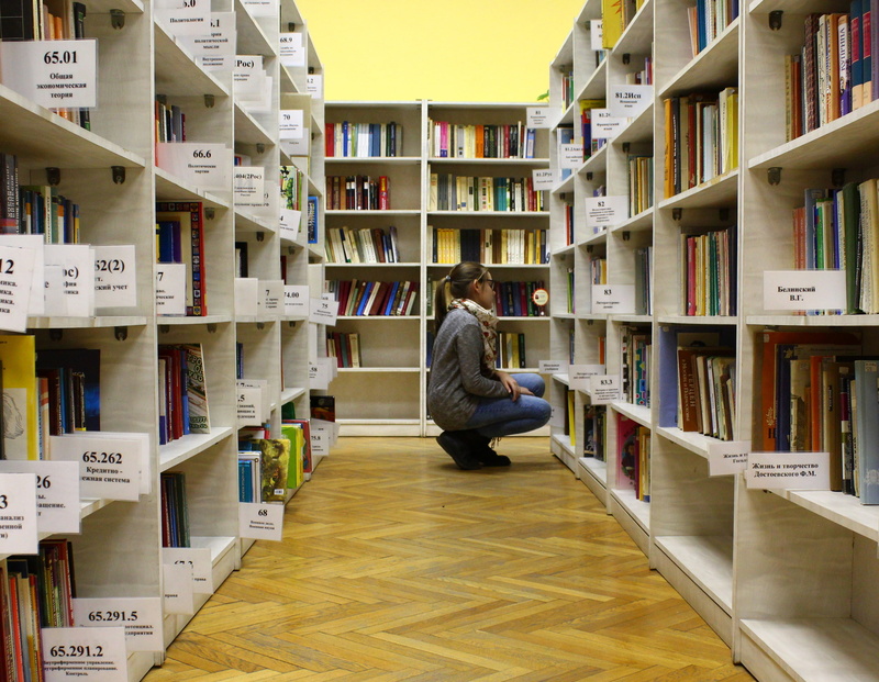library, girl, books, search, studying, university, shelf, indoors, shelves, real people, hairstyle, sitting, beautiful, gray, society, study, cubby, choice