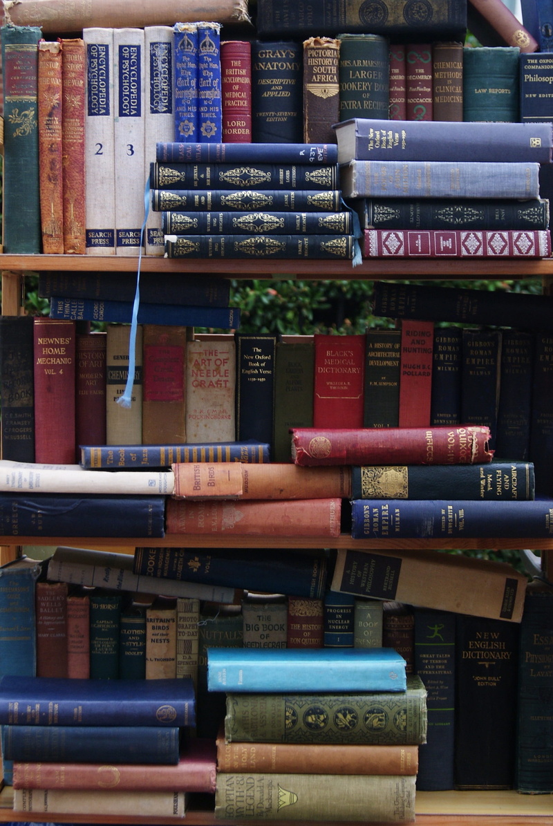book, bookstore, backgrounds, old-fashioned, 2K, large Group of Objects, old, antique, communication, bookshelf, still life, for sale, abundance, shelf