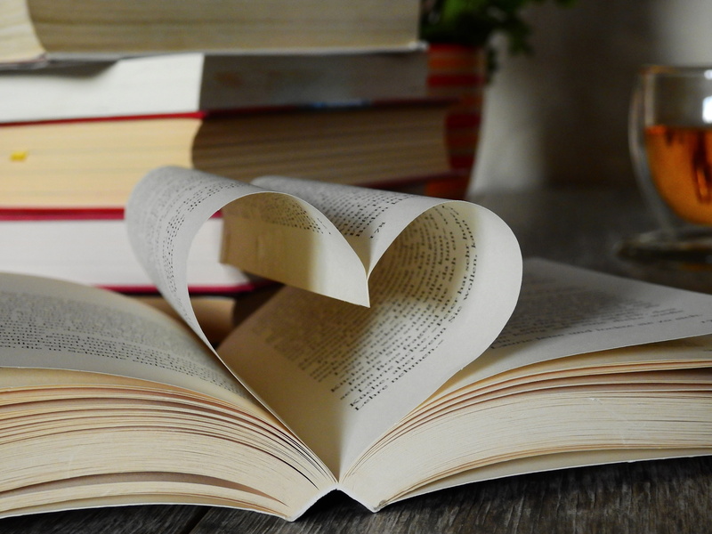 4K, read, focus on foreground, text, open, table, page, indoors, no people, close-up, glass, still life, learn, education, positive emotion, creativity