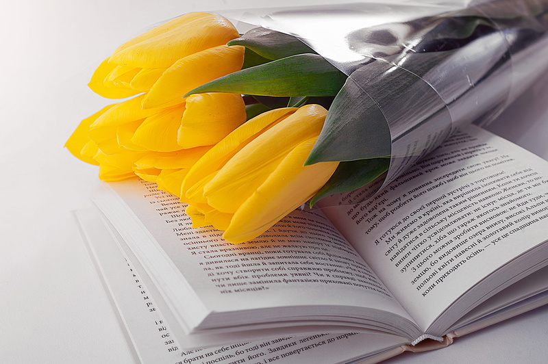 beautiful, white, nature, table, love, paper, lovely, communication, yellow, read, blossom, knowledge, romantic, flower, flowers, literature, education