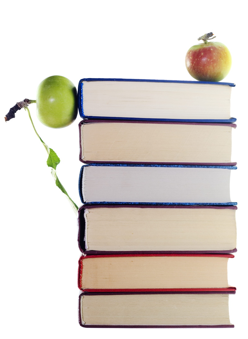 textbook, business, heap, still life, information, frame, food, healthy eating, group, healthcare, un, no people, eating, ripe, high, building, wellbeing