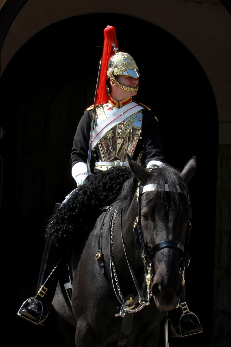 man, front view, harness, queen, royal, army, real people, rider, silver, black background, armor, working animal, black, horseman, guard, knight, livestock