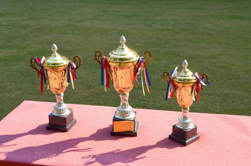 athletic, medals, table, success, sunlight, winning, achievement, nature, first, sport, outdoors, trophies, no people, colored, metal, grass, winner, trophy