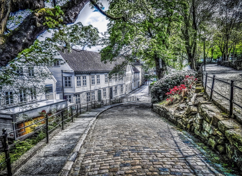 scenic, flora, nature, residential district, guidance, 2K, building, europe, day, stones, direction, growth, landscape, trees, hdr, leaves, garden, plant