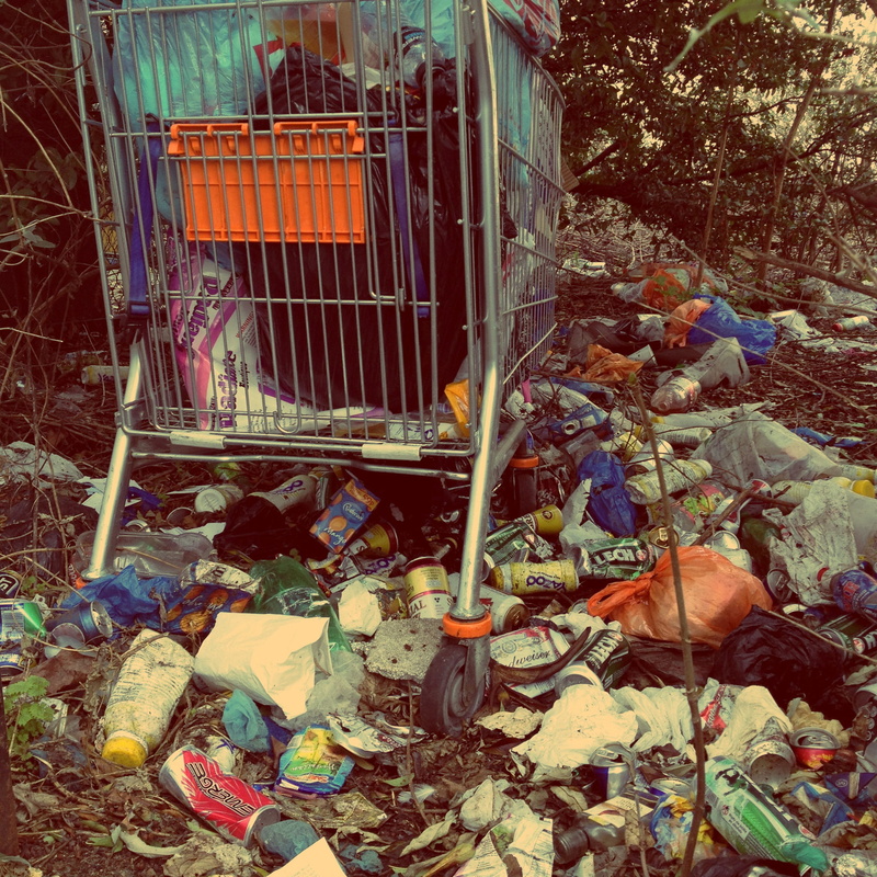 landfill, change, heap, scrap, cart, stainless, junk, outdoors, cage, high angle view, trapped, garbage, damaged, food, rubbish, grunge, recycling, animal