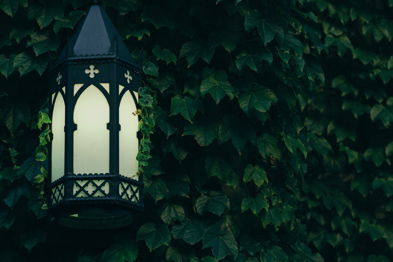 lamp, outdoors, black, lantern, building, things, window, built structure, day, plant part, ivy, the past, low angle view, leaf, framed, vines, wall, growth